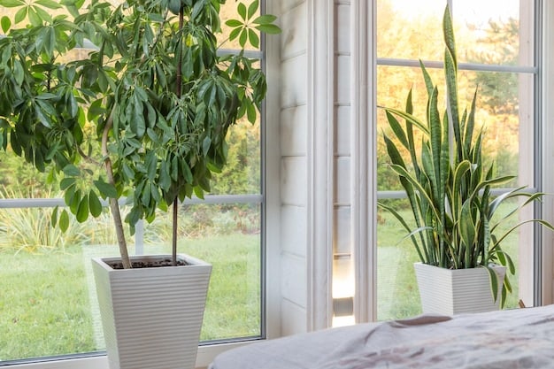 Maximize Natural Light: Cost-Effective Window Upgrades for a Brighter Home in 2025