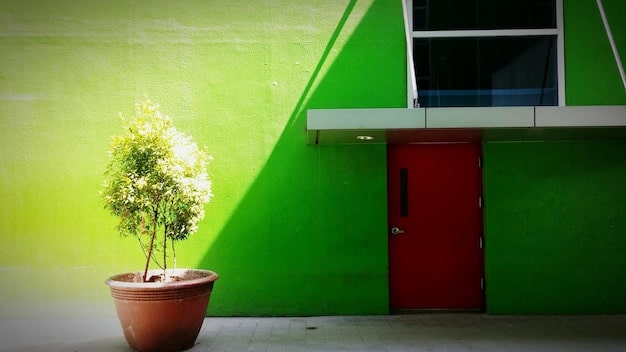 A mid-century modern home with a bright olive green front door. The door is flanked by large windows, and the surrounding landscaping includes drought-resistant plants and minimalist design elements. The overall effect is stylish and eco-conscious.