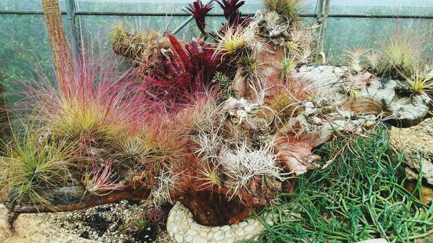 Energy-Efficient Landscaping: Save Water & Reduce Bills by 30%