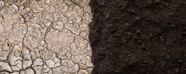 A split image showing healthy soil on one side, rich in organic matter and teeming with earthworms, contrasted with dry, compacted soil on the other side. The image should visually demonstrate the benefits of good soil management.