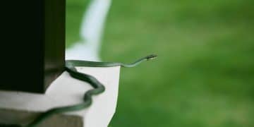 Protect Your Home: Gutter and Downspout Inspection Guide - Cover Image