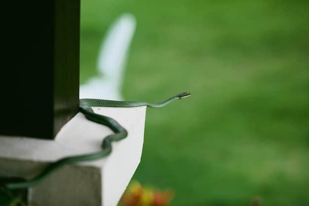 Protect Your Home: Gutter and Downspout Inspection Guide