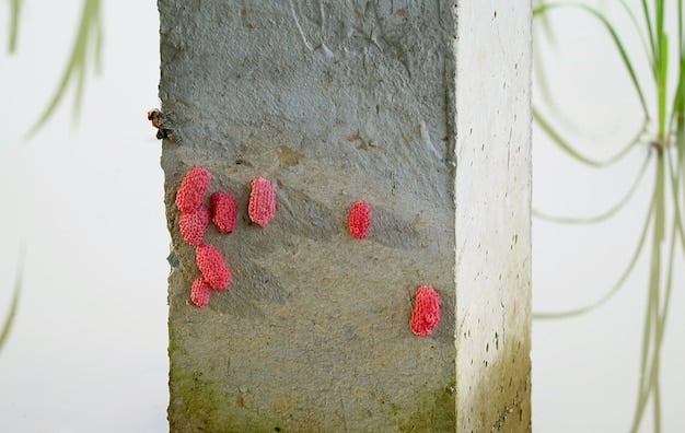 An image showing various types of cracks and crevices around a home's foundation, with red circles highlighting the vulnerabilities, such as gaps in brickwork, foundation cracks and poorly sealed pipe entries. A ruler is placed near one of the cracks to indicate size.