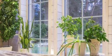 Biophilic Design: 5 Ways to Bring Nature Home - Cover Image