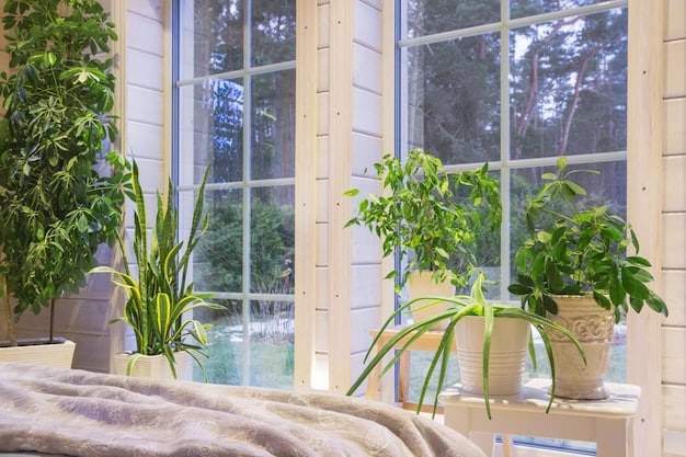 Biophilic Design: 5 Ways to Bring Nature Home