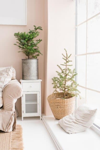 Top 5 Home Decor Color Palettes Trending in 2025