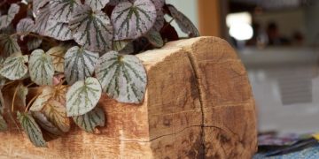 Sustainable Style: Eco-Friendly Home Decor Trends in 2025 - Cover Image