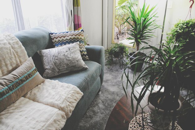Transform Your Living Room: 7 Easy & Fresh Decor Updates