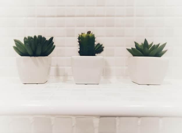 Bathroom Refresh: Simple Decor Changes for a Spa-Like Experience