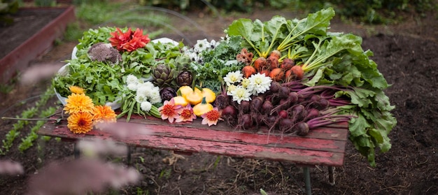 USDA Hardiness Zones 2025: How Updates Change Your Planting Strategy