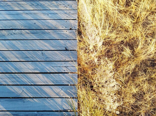A split-screen image comparing traditional frost protection methods (like straw mulch) to the use of modern frost protection fabrics in a large agricultural field. The modern side features rows of crops covered in white fabric, while the traditional side shows straw covering the soil.