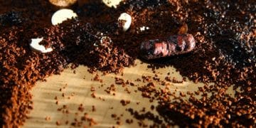 Composting Secrets: Transform Yard Waste into Garden Gold in 3 Months - Cover Image