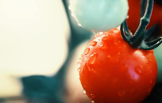 A close-up shot of a drip irrigation emitter releasing water directly at the base of a tomato plant. The soil is moist and healthy-looking.