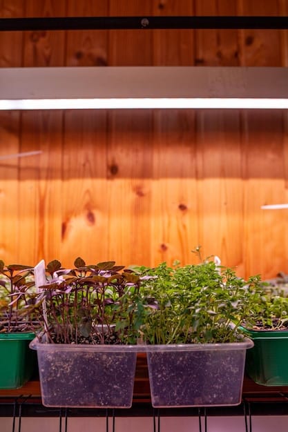 Interior of a small, DIY greenhouse with various seedlings in trays under grow lights, highlighting the controlled environment and early start for plants.