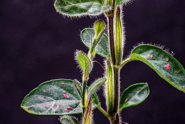 A close-up image of aphids clustered on a plant stem, highlighting their small size and the damage they can cause.