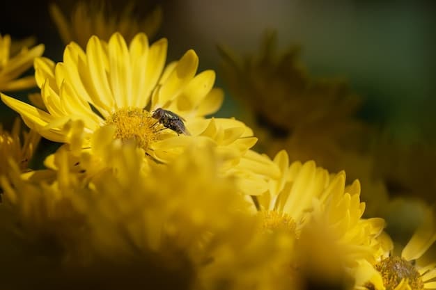 A close-up shot of a bee collecting pollen from a bright yellow goldenrod flower. The background is softly blurred, highlighting the interaction between the bee and the flower.
