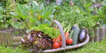 Grow Your Own Food: Easy Crops for Your First Vegetable Garden - Cover Image
