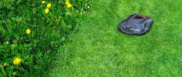 Lawn Care Revolution: Robotic Mowers and ROI in 2025