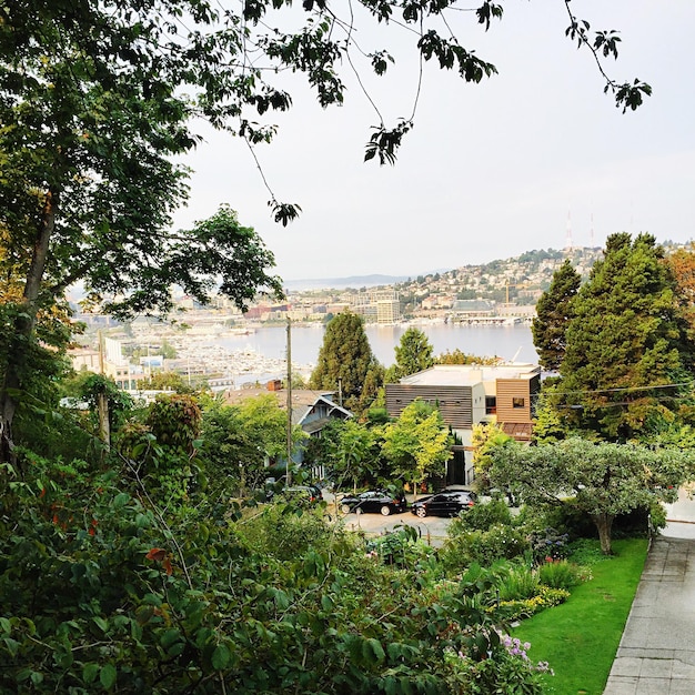 Prevent Soil Erosion: Landscaping Techniques for Sloped Yards