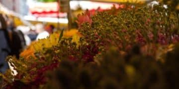 Maximize Sunlight: Garden Positioning for Optimal Growth - Cover Image