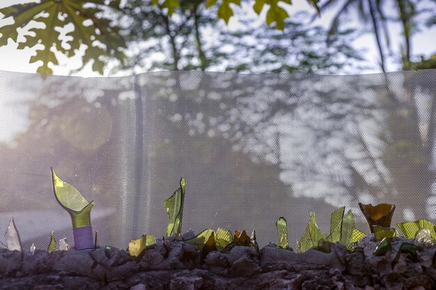 A raised garden bed lined with reflective material, directing sunlight onto the plants growing inside. The surface is shiny and clean, maximizing the reflected light.