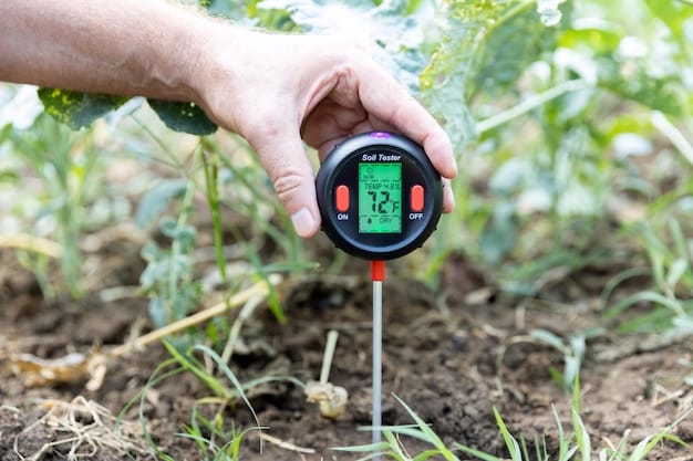 A close-up of a gardener using a soil thermometer to measure soil temperature in a raised garden bed. The gardener is wearing gloves and warm clothing, and the soil around the thermometer is covered with a thin layer of frost.