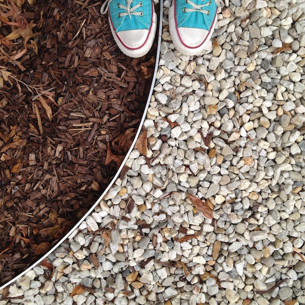Choose the Right Mulch: Organic vs. Inorganic Options