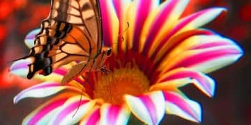 Create a Butterfly Garden: Attract Monarchs Easily - Cover Image